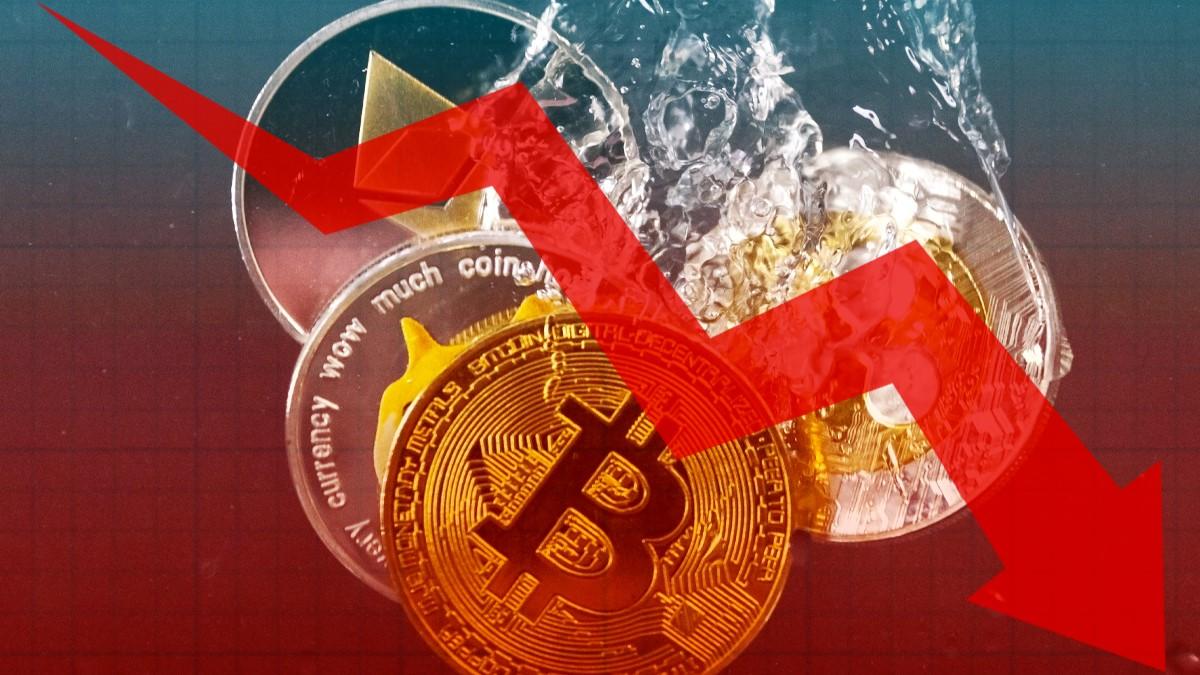 Crypto Market Crash: XRP, ADA, SHIB, DOGE Plunge as $556M Liquidations Rock the Market moneyoye.com